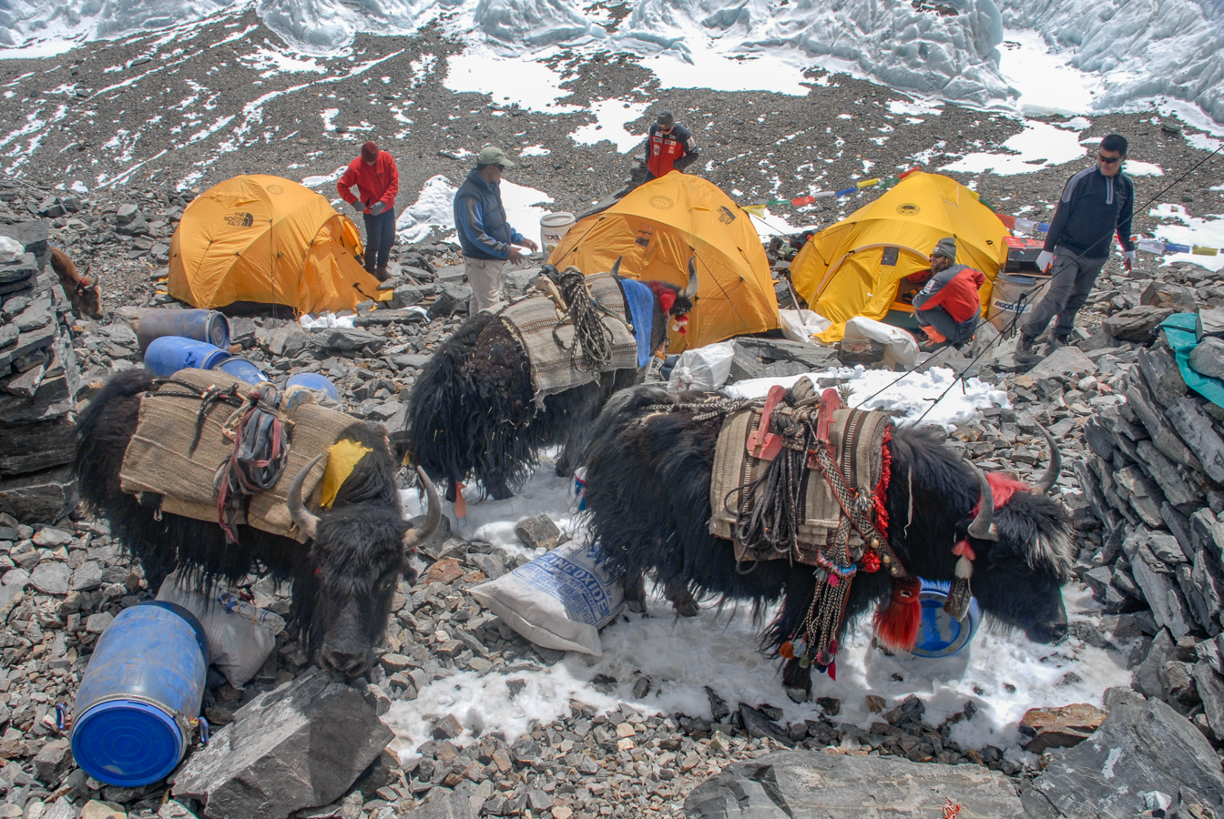 Advanced Base Camp
